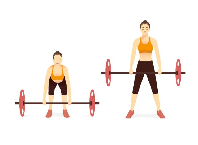 barbell deadlift, compound exercises for women to get lean