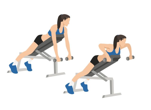 chest-supported row, concept of weight-loss workouts for beginners