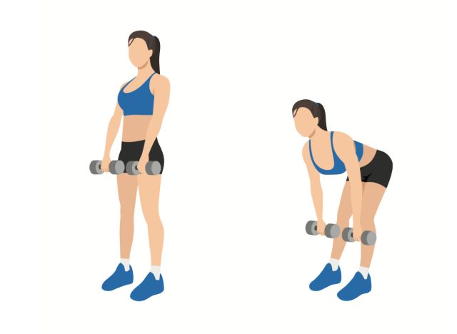 illustration of dumbbell deadlift, concept of back workouts for bra flab