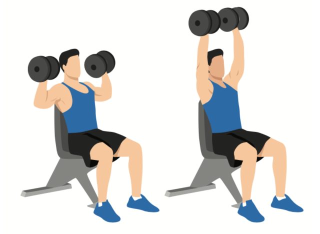 illustration of seated dumbbell shoulder press, concept of free weight workouts to regain muscle