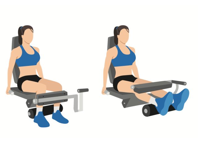 illustration of seated leg curls, concept of weight-loss workouts for beginners