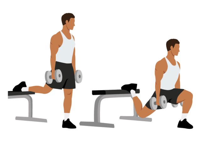 Dumbbell Split Squats, concept of free weight workouts to regain muscle